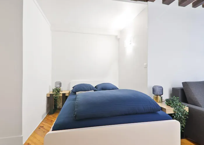Appartement Quartier Les Marais Free Netflix Parijs